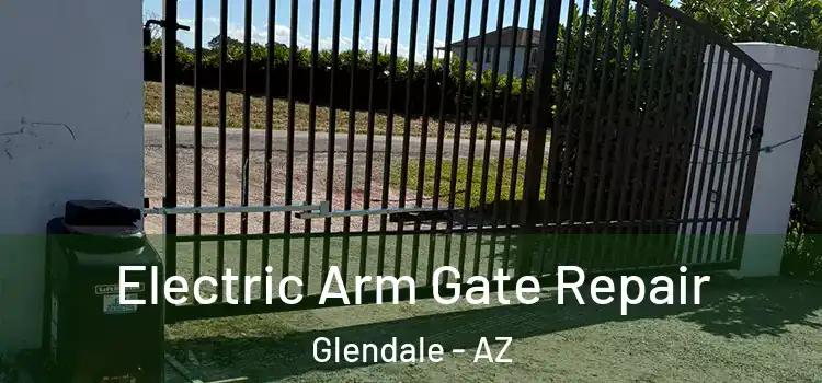  Electric Arm Gate Repair Glendale - AZ