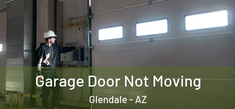  Garage Door Not Moving Glendale - AZ